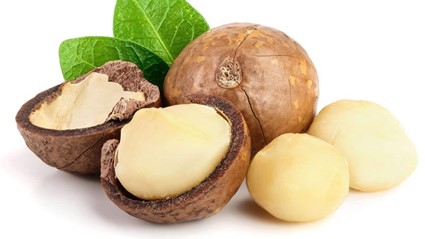 hat macca co nong khong